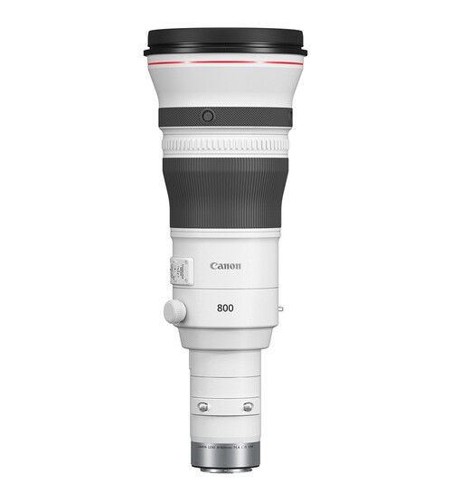 Canon RF 800mm f/5.6 L IS USM Lens